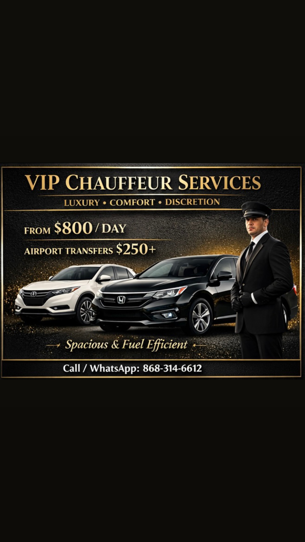 VIP chauffeur services